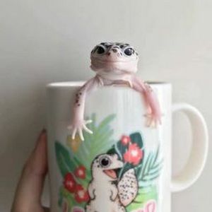 Meet your Posher, Jovanna